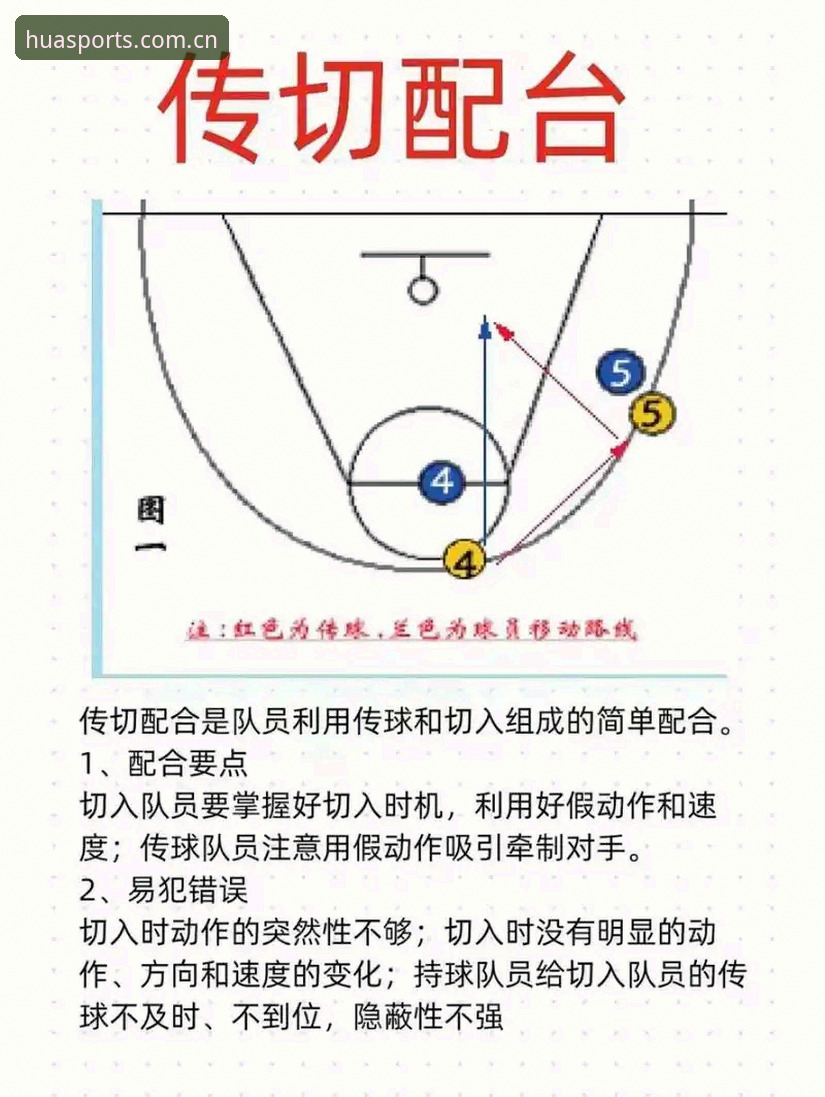 华体育官方互动平台使用技巧完整指南：从版本特性到实战操作全解析